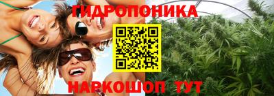 PSILOCYBIN Краснодар