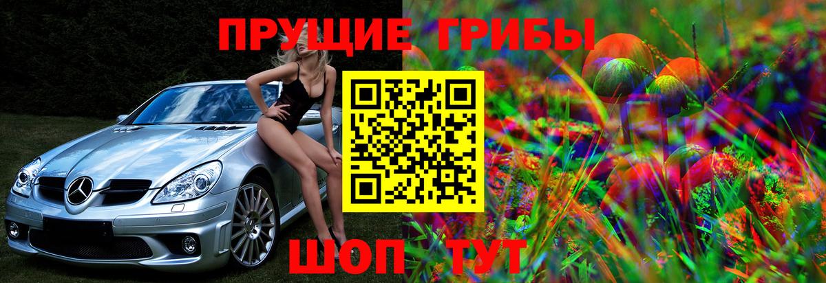 Псилоцибиновые грибы Cubensis  Вход с VPN  Псилоцибиновые грибы Cubensis  Тольятти 